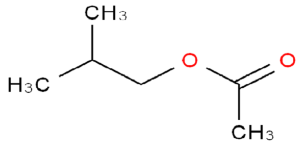 Characterization of Isobutyl acetate